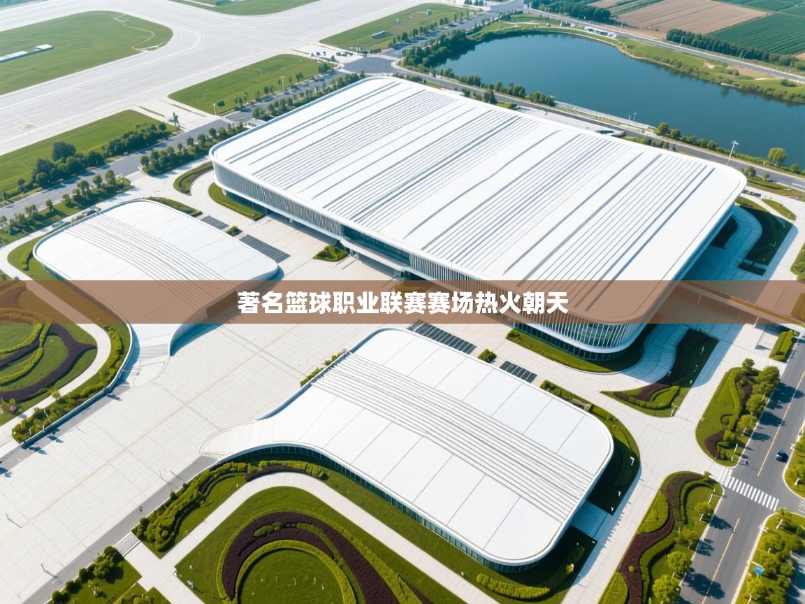 著名篮球职业联赛赛场热火朝天 第1张