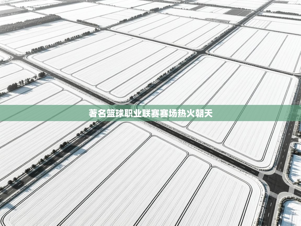 著名篮球职业联赛赛场热火朝天 第2张